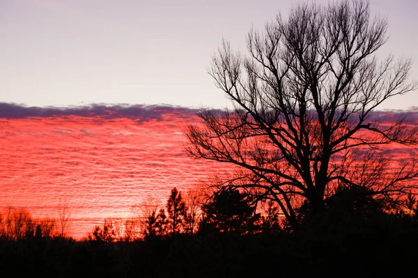 늦가을 풍경입니다 크림슨 일몰을 배경으로 나무가 아름다운 — 스톡 사진