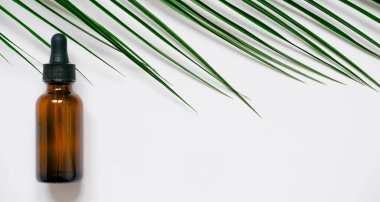 Beyaz arka planda gerekli yağlar, palmiye yaprakları, maketler. Kahverengi cam şişelerde pipetli kozmetik tıbbi güzellik ürünü.