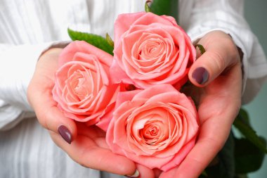 Beyaz gömlekli kadın ellerinde pembe gül çiçeği tutuyor. Çiçeğe yakın görünüm.