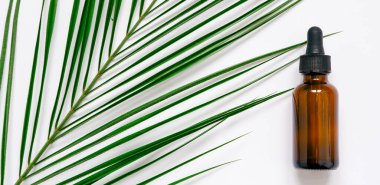 Beyaz arka planda gerekli yağlar, palmiye yaprakları, maketler. Kahverengi cam şişelerde pipetli kozmetik tıbbi güzellik ürünü.