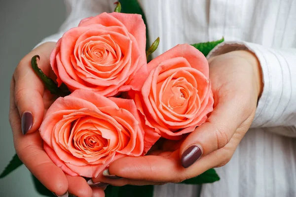 穿着白衬衫的女人手里拿着嫩粉色的玫瑰花 观赏植物近景 — 图库照片