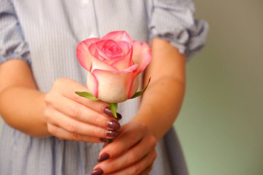 Mavi elbiseli kadın ellerinde pembe gül çiçekleri tutuyor. Beyaz manikürlü, narin pembe çiçekli kadın elleri.