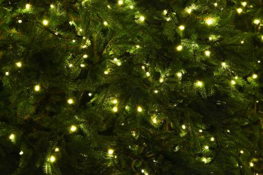 Noel arkaplanı. Noel ağacında çelenkler yeni yılı aydınlatıyor. Karışık çelenklerin yanıp sönen ışıklarıyla soyut bulanık fotoğraf arkaplanı.