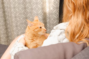 Sıcak bornozlu bir kadın kanepede kedisiyle oturuyor. Kızıl kedi bir kızın ellerinde. Güzel kızıl tekir kedi. Hayvanlar ve yaşam tarzı konsepti.