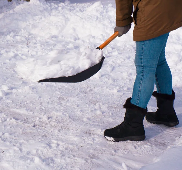 Снігоприбирання Взимку Жінка Очищає Сніг Лопатою Місцевому Районі — стокове фото