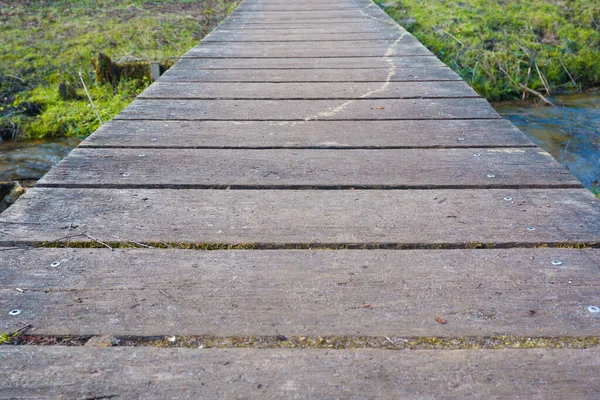 Natural Landscape Empty Trail Trees Wooden Bridge Small Wooden Bridge — 스톡 사진