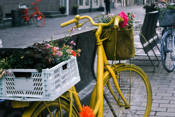 Old Painted Bicycles Flower Baskets Flower Bed Old Atmospheric Street — стоковое фото