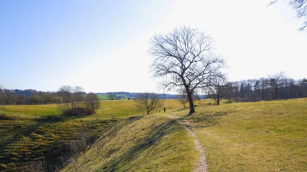 Landscape Girl Walks Hilly Area Clear Spring Day Spring Big — Stok fotoğraf