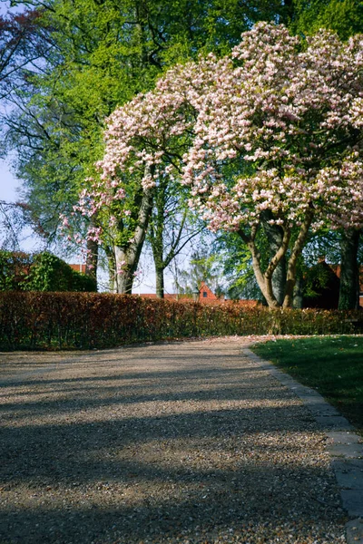 Gemütliche Fußgängerzone Zum Entspannen Frühlingspark Einer Europäischen Stadt Frühlingsblüte Einem — Stockfoto