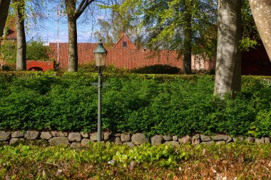 Bir Avrupa şehrinin bahar parkında rahatlamak için rahat yaya alanı. Halk parkında bahar çiçekleniyor.