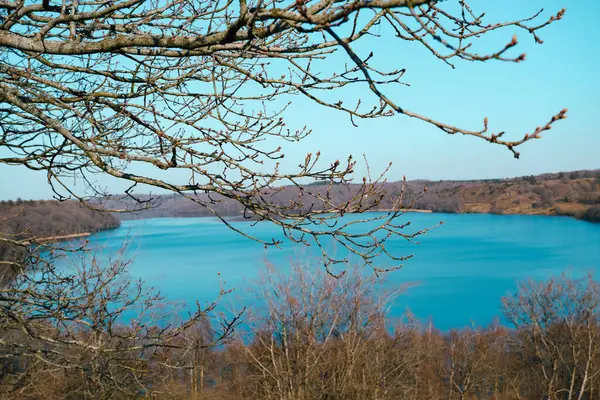Peyzaj suyu, güzel bahar manzarası. Açık bir bahar gününde, yuvarlanan kırsal bölgenin Mavi Gölü. Bahar, ön planda tomurcukları olan büyük bir ağacın dalları..