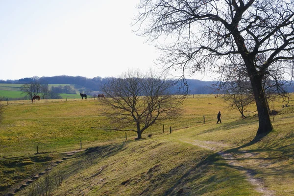 Landscape Girl Walks Hilly Area Clear Spring Day Spring Big — Stok fotoğraf