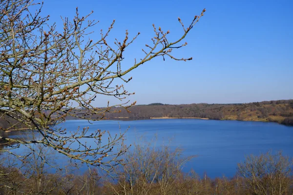 风景秀丽的春景背景 清澈的春日里 蓝色的湖畔起伏起伏的乡村 一棵枝条茂密的大树 枝头上有芽 — 图库照片