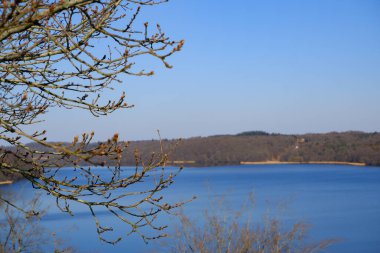 Peyzaj suyu, güzel bahar manzarası. Açık bir bahar gününde, yuvarlanan kırsal bölgenin Mavi Gölü. Bahar, ön planda tomurcukları olan büyük bir ağacın dalları..