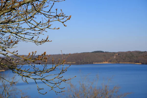 Peyzaj suyu, güzel bahar manzarası. Açık bir bahar gününde, yuvarlanan kırsal bölgenin Mavi Gölü. Bahar, ön planda tomurcukları olan büyük bir ağacın dalları..