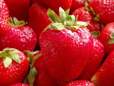 Kırmızı olgun çilekler kapanıyor. Makroda kırmızı çileğin arkaplanı