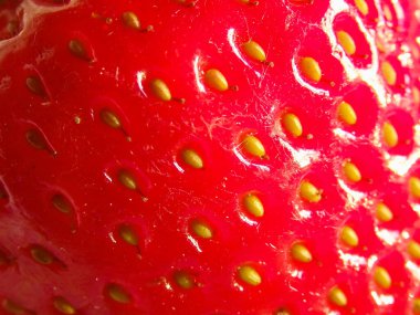 Kırmızı olgun çilekler kapanıyor. Çilek aromalı. Lezzetli olgun kırmızı çilek. Sulu çilekler. Sağlıklı çilekler.