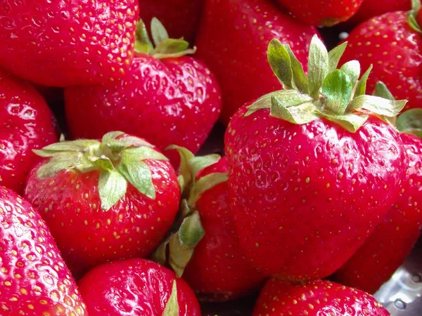 Red Ripe Strawberries Close Background Red Strawberry Macro — Stock Photo, Image