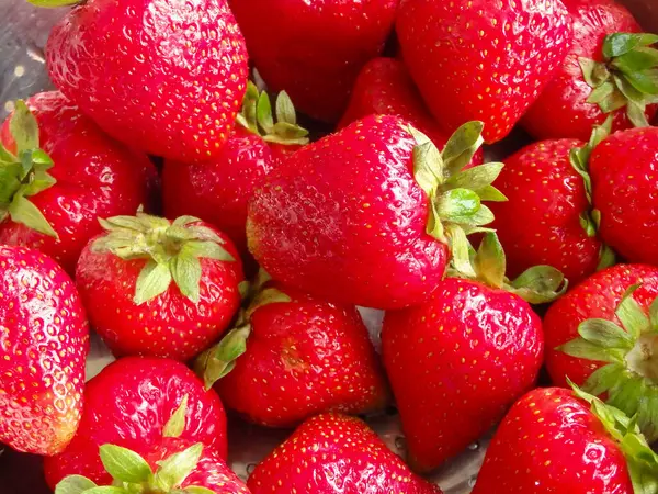 Red Ripe Strawberries Close Background Red Strawberry Macro — Stock Photo, Image