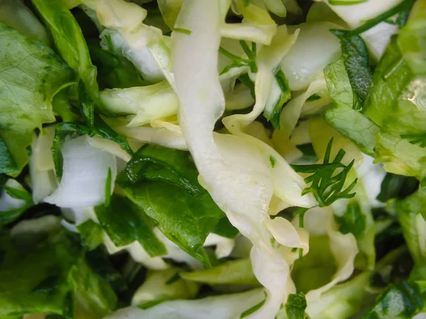 Salat Aus Gurken Radieschen Zwiebeln Und Kräutern Veganes Bio Essen — Stockfoto