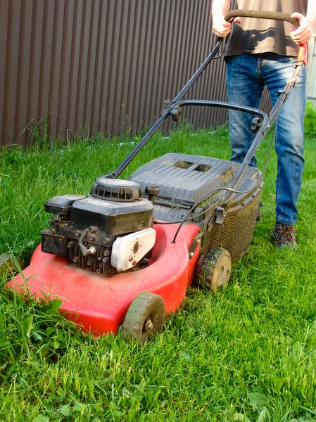 Lawn mowing. A man cutting the lawn, cutting the grass in backyard during summer sunset evening. Caucasian Gardener working with lawnmower and cutting grass during summer season