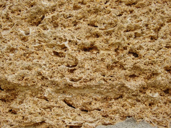 Hintergrund Textur Der Kalksteinoberfläche Muschelkalk Nahaufnahme Als Hintergrund Muschelkalk Blockiert — Stockfoto