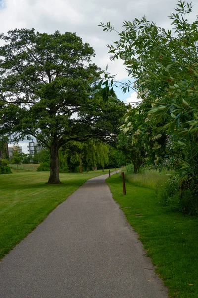 Empty gravel walk path with fresh green trees at day time for background with copy space. lawn, gravel path and trees in the park