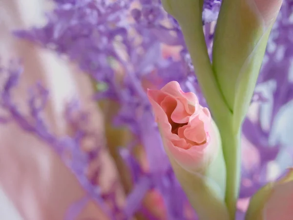 Bouquet Composition Blue Dry Branch Gladiolus Gentle Beautiful Pastel Romantic — Stockfoto