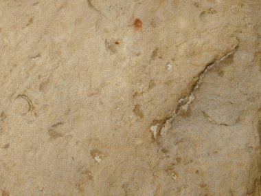 texture of sand stone for background. stone texture of limestone stone surface abstract background. Close up image
