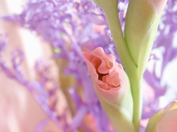Bouquet Composition Blue Dry Branch Gladiolus Gentle Beautiful Pastel Romantic — Stockfoto