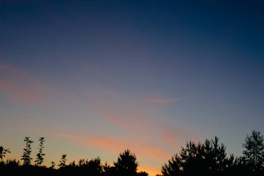 Colorful of sunset sky and clouds sunset background. Real amazing sunrise or sunset sky with gentle colorful clouds.