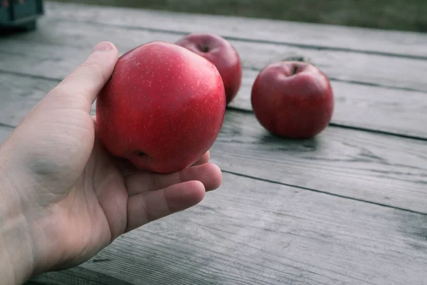 Récolte Pommes Rouges Dans Une Boîte Plastique Noir Gros Plan — Photo