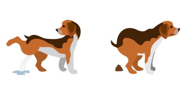 Kaka yapan köpek ve işeyen köpek vektör çizimi. Köpekler kaka sanatı, evcil hayvan dışkıları ve beyaz arka planda izole edilmiş köpek vektör siluetleri. Şirin köpek sıçıp işiyor..