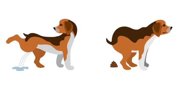 Kadí pes a čůrá pes vektorové ilustrace. Psi kadí klip, zvířecí výkaly a psí vektorové siluety izolované na bílém pozadí. Roztomilý pes sere a chčije. — Stockový vektor