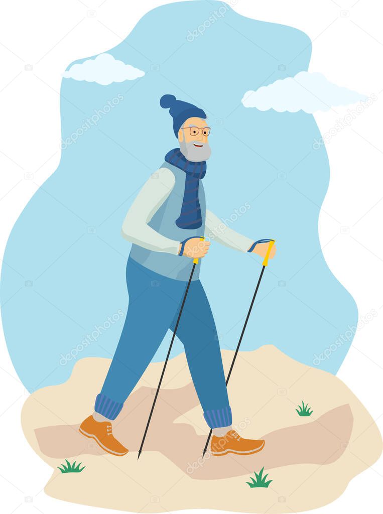 Elderly fit man is engaged in Nordic walking with sticks outdoors. Old athletic man walk on foot in the open air adhering to healthy lifestyle. Vector illustration