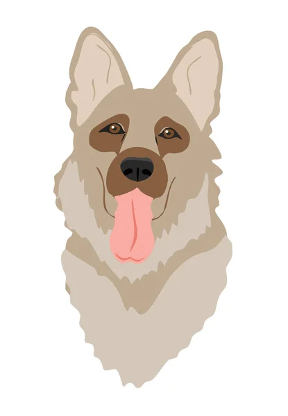 Tyska Shepherd hund isolerad. Platt vektor illustration. Ras realistisk färg vektor illustration från hunden visa tecken symbol set — Stock vektor