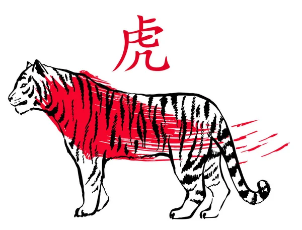 Ilustración vectorial de un tigre en estilo tradicional asiático de caligrafía de tinta. Año Nuevo Lunar. Bosquejo chino de tinta de tigre. Aislado. Traducción de jeroglíficos - TIGER — Vector de stock