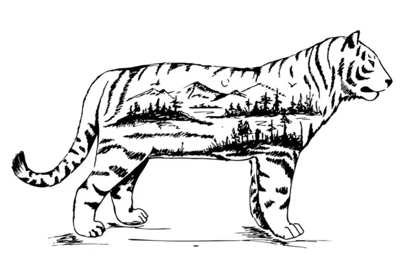 Vector Doble exposición, Tigre dibujado a mano para su diseño, concepto de vida silvestre — Vector de stock