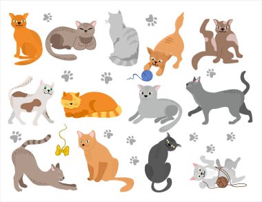 Vektör Şirin Kediler. Karakterleri ayarla Kedi, evcil hayvan karakterlerini farklı üretir..