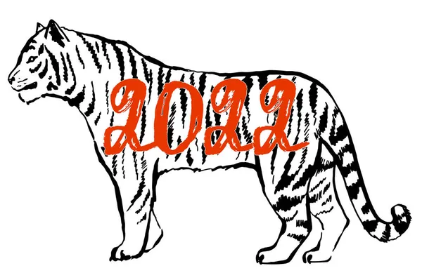 Año del tigre. Año nuevo chino 2022 año del tigre. Dibujo de tinta. Ilustración vectorial — Vector de stock