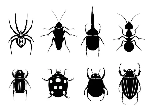 Insect icons. Set of insects, icons beetles, ants, spiders. Silhouettes of insects. — Stock Vector