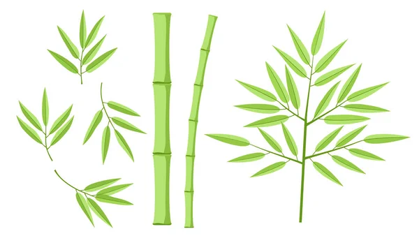 Illustration with collection of bamboo on a white background. Hand drawn illustration with bamboo stem and leaves. Set of bamboo tree leaves. Botanical collection. Shapes of bamboo plants for design — Vetor de Stock