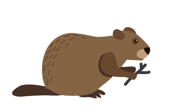 Cute beaver in flat style on white background. Beaver cartoon character. Vector illustration — Stockvector