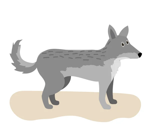 Cute wolf. Cartoon, wolf grey the nature of the character. Isolated on white background. Vector illustration — Archivo Imágenes Vectoriales