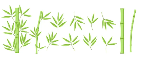 Bamboe groene decoratie elementen in realistische stijl. Verticale randen van stengels, geïsoleerde bladeren en stokken en verse natuurlijke plant. Gedetailleerde bamboescheuten set — Stockvector