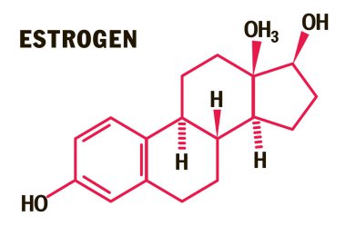 Östrojen hormonları moleküler formül. Östrojen Hormonları sembolü. Beyaz arka planda izole edilmiş seks hormonu sembolü