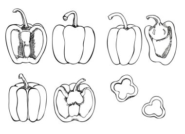 İzole edilmiş dolma biber. Biber el çizimi vektör seti. Sebze oymalı nesne tarzı, tam, yarısı ve dilimler. Ayrıntılı vejetaryen yemek çizimleri. Tarım piyasasında ürün. kırmızı biber simgesi