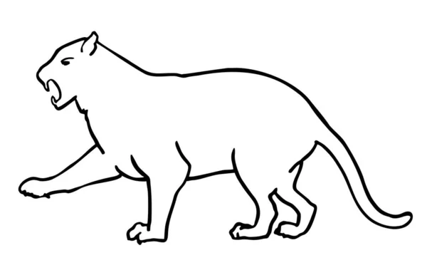 Leopar, çita, kaplan. Kedi familyasından bir hayvanın silueti. Bir satır resim — Stok Vektör