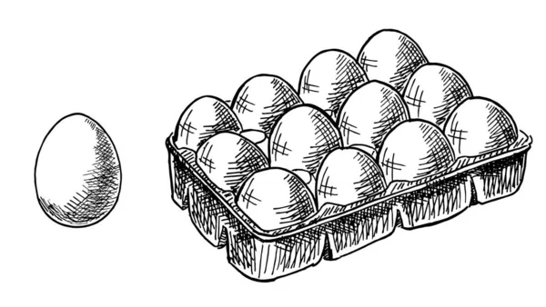 Krabice od vajec. Vejce čerstvé nastavit zdravé jídlo. Vektorový náčrtek. Izolovaný obrázek na bílém pozadí — Stockový vektor