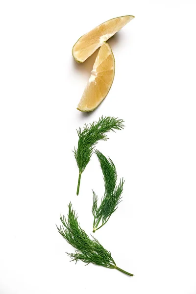 Beyaz arka planda bir dilim limon ve bir dal dereotu.